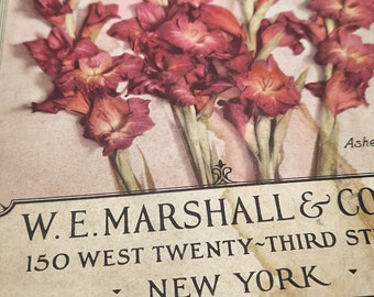 1902-1927 Marshall's Seeds Catalog Hard Cover Antique Beautiful details and lithos