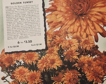 1948 Inter-State Nurseries Hamburg Iowa Wholesale seed catalog Colorful, ephemera, Flowers with original mailing envelopes and order forms