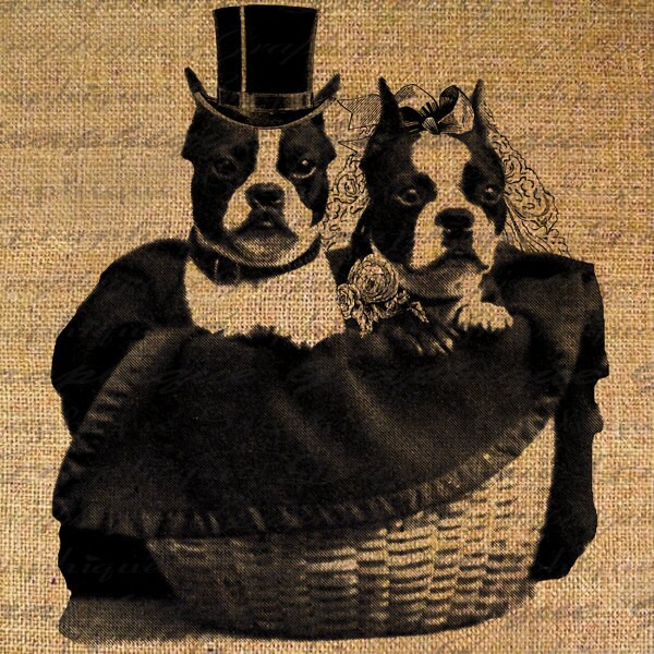 Dog Grooming Pillows Etsy