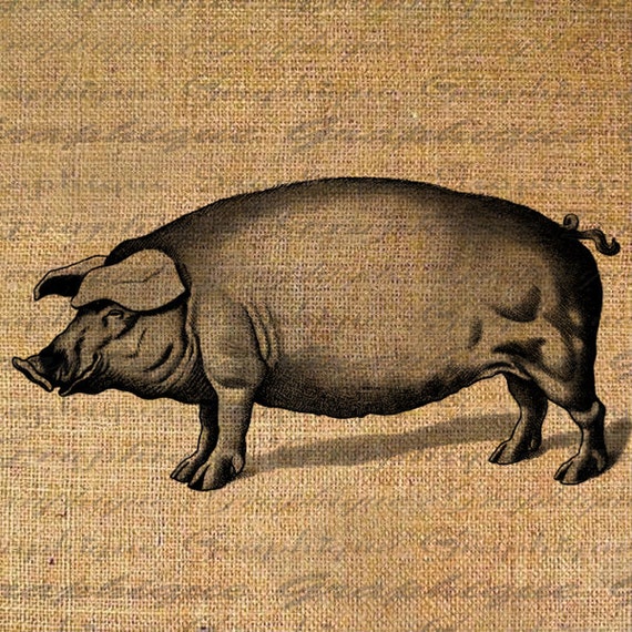 Happy Pig Farm Animal Series Digital Image Download Transfer | Etsy