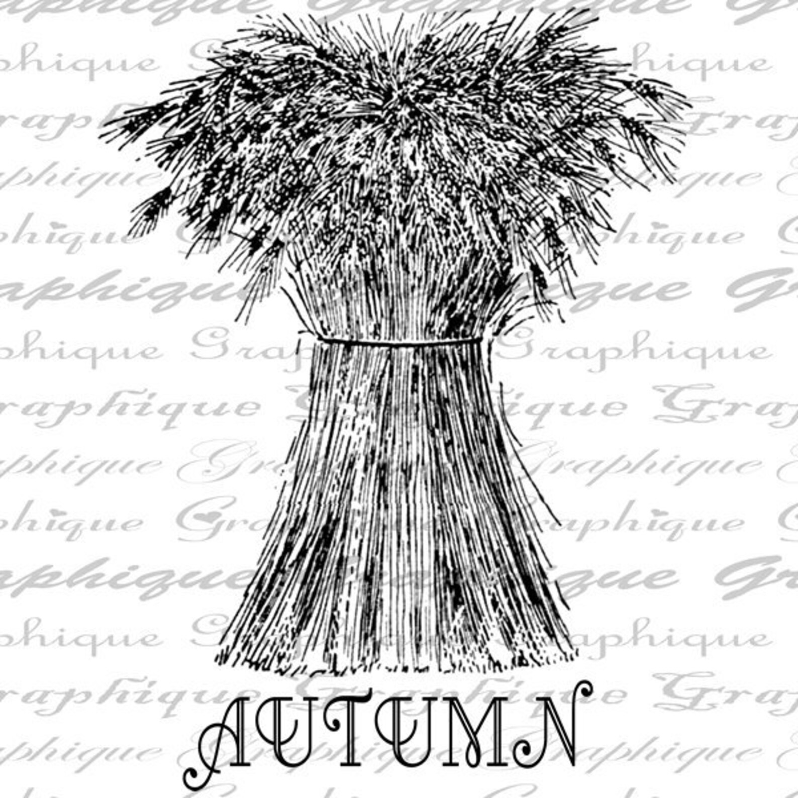 Autumn Wheat Word Harvest Thanksgiving Fall Country Farm Etsy