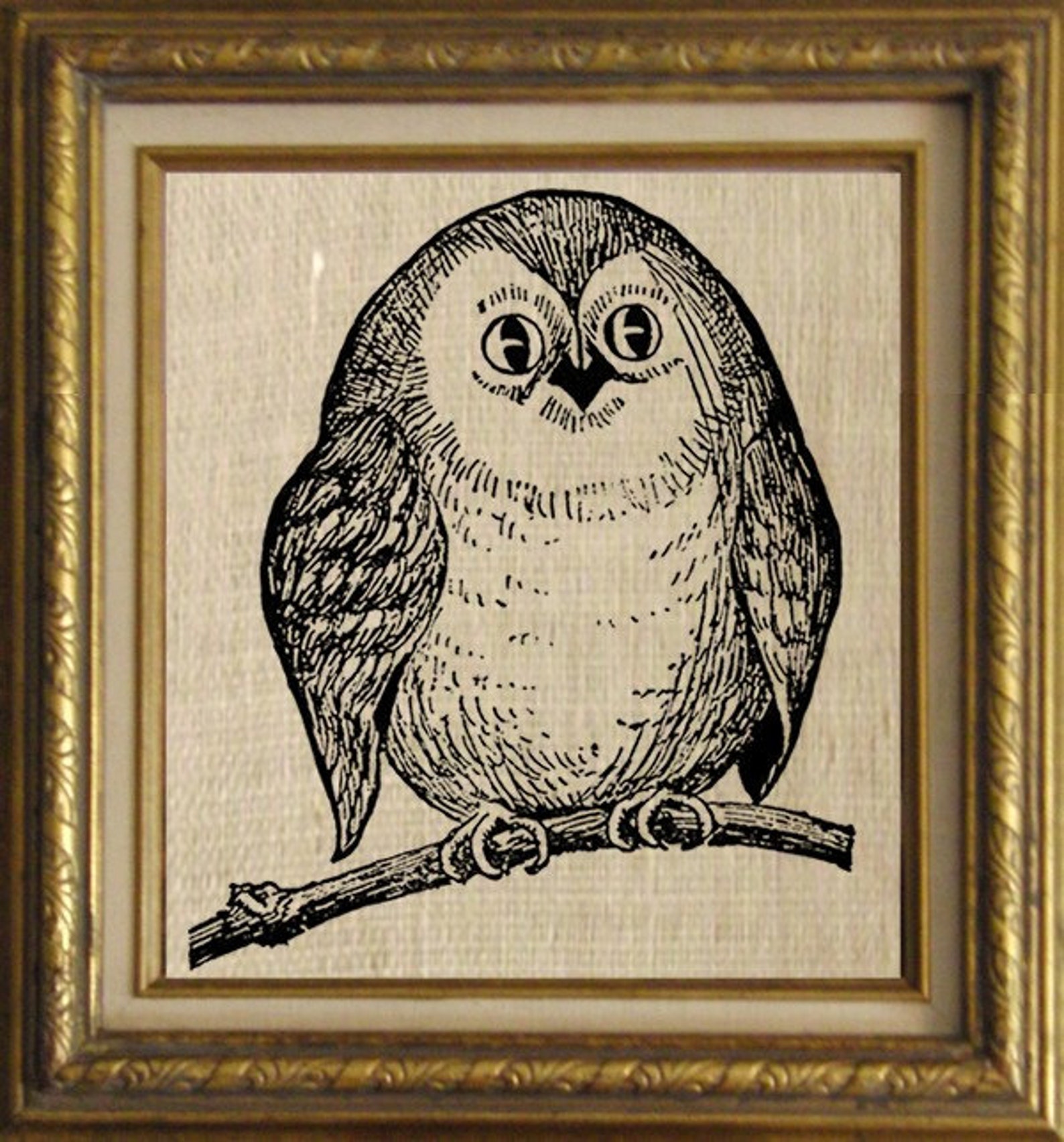 Adorable Little Hoot Owl Bird Digital Image Download Sheet Etsy