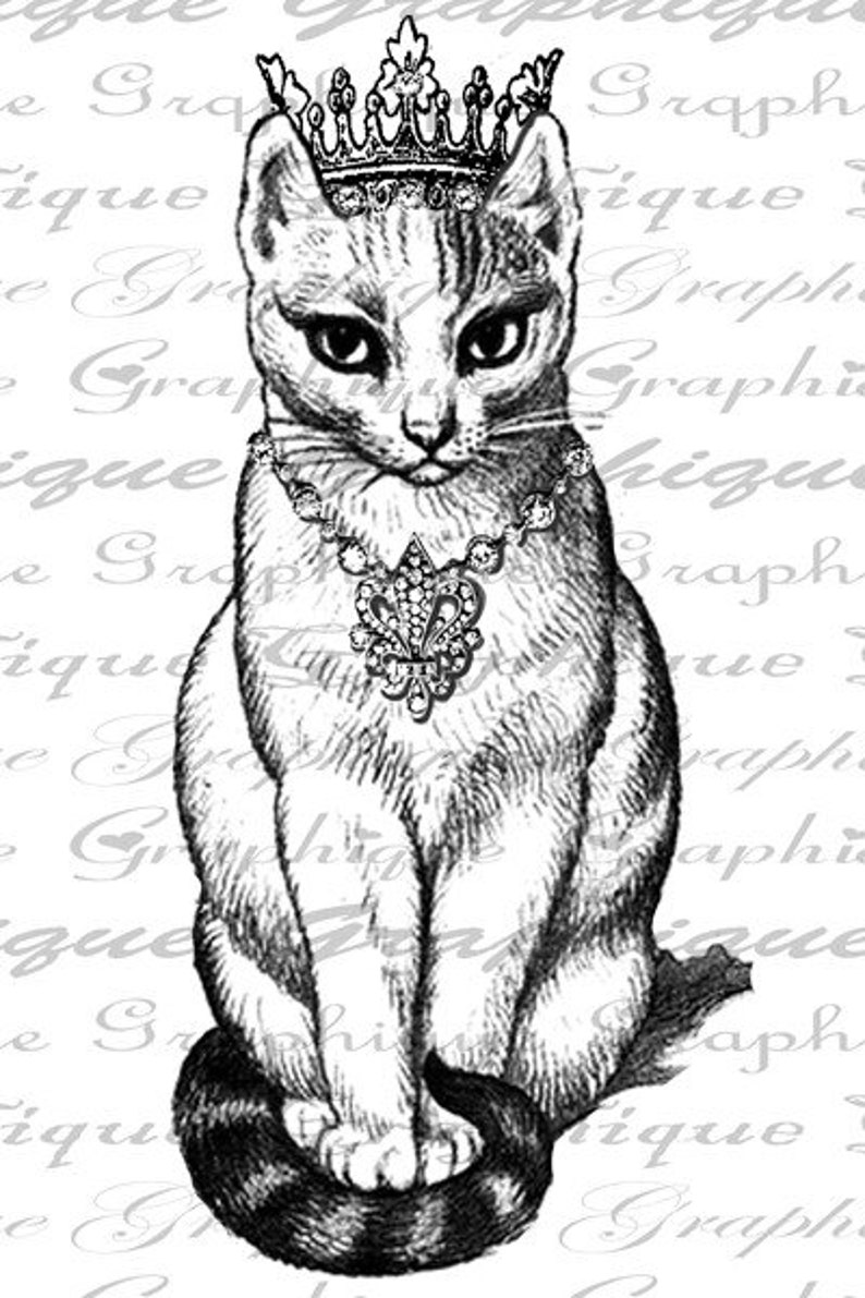 Рисунок кот с короной