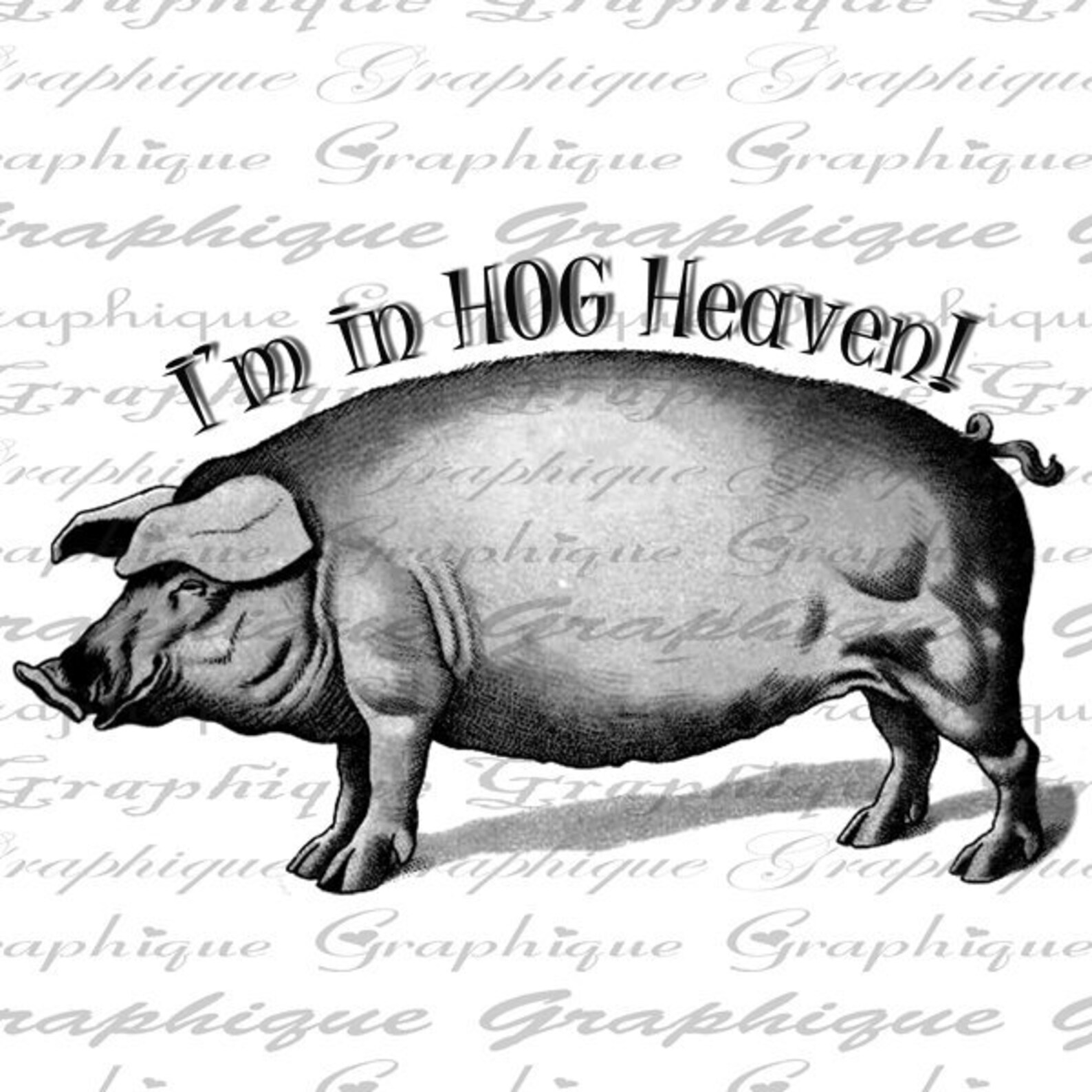 Pig I'm in HOG Heaven Words Text Digital Image Download Etsy