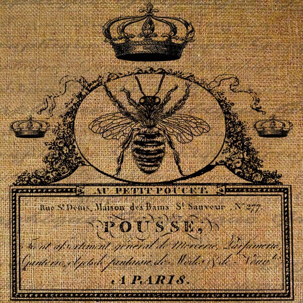 Queen Bee Bees French Handwriting Word Writing Crown Frame Digital Im…
