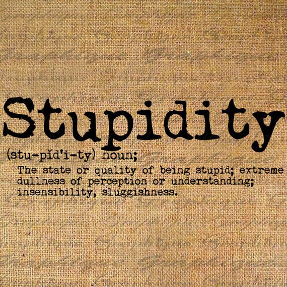 Items similar to STUPIDITY Dictionary DEFNITION Text Word Digital