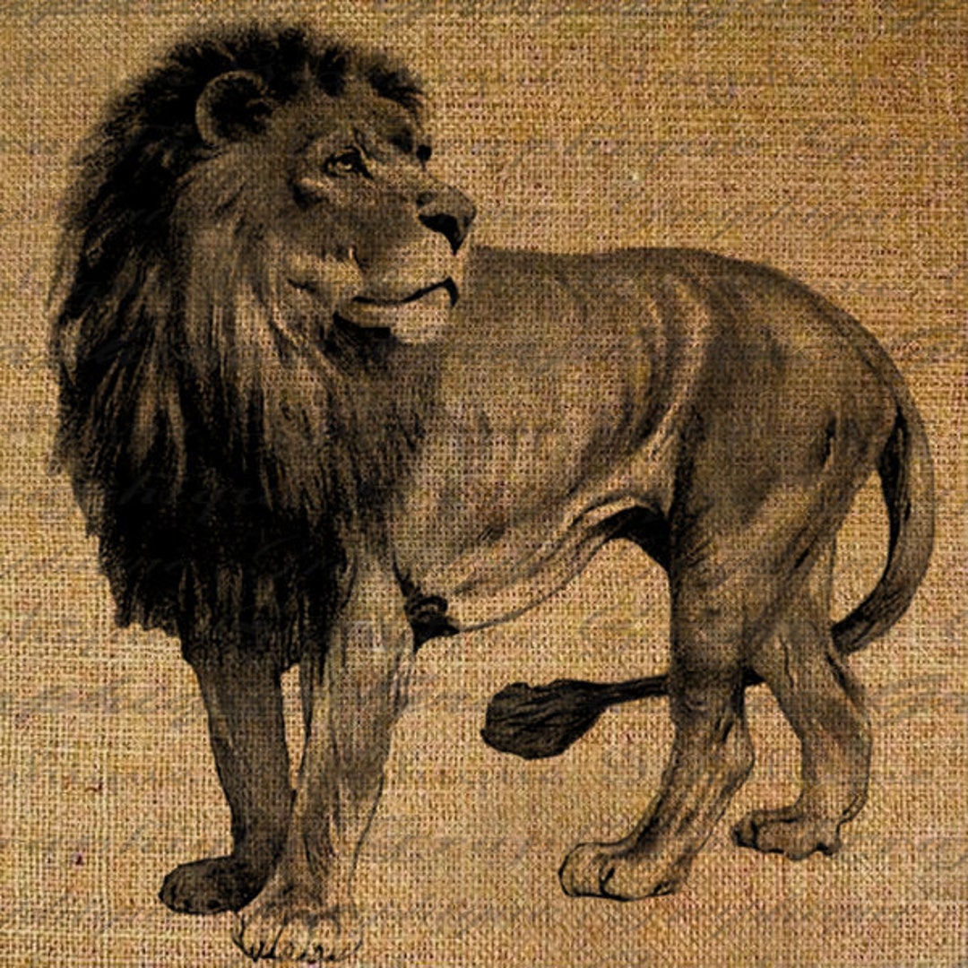 Buy Lion King of the Jungle Wild Animal Safari Forest Digital Online in India - Etsy Buy Lion King of the Jungle Wild Animal Safari Forest Digital Online in India - Etsy