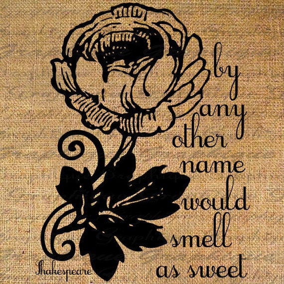 ROSE Other Name Would Smell SWEET Shakespeare Digital Collage Sheet Download Burlap Fabric Transfer Iron On Pillows Totes Tea Towels No 4056