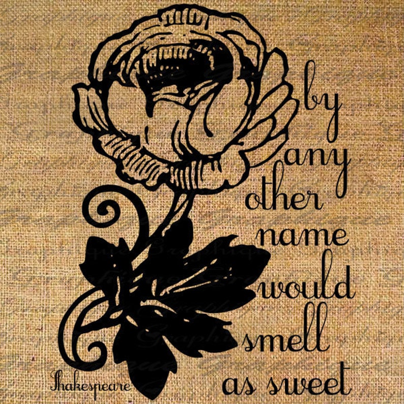 ROSE Other Name Would Smell SWEET Shakespeare Digital Collage Sheet Download Burlap Fabric Transfer Iron On Pillows Totes Tea Towels No 4056