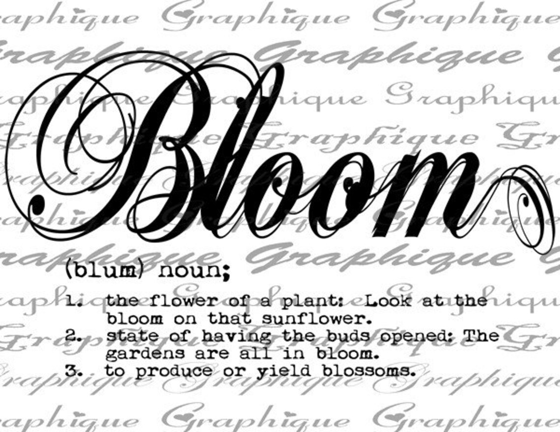 Dictionary Definition Word BLOOM Typography Digital Image Etsy