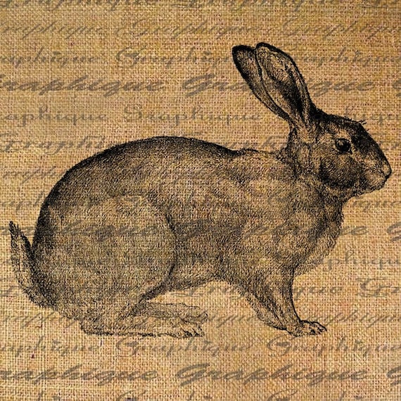 where to watch is the order a rabbit download free where to watch is the order a rabbit download free