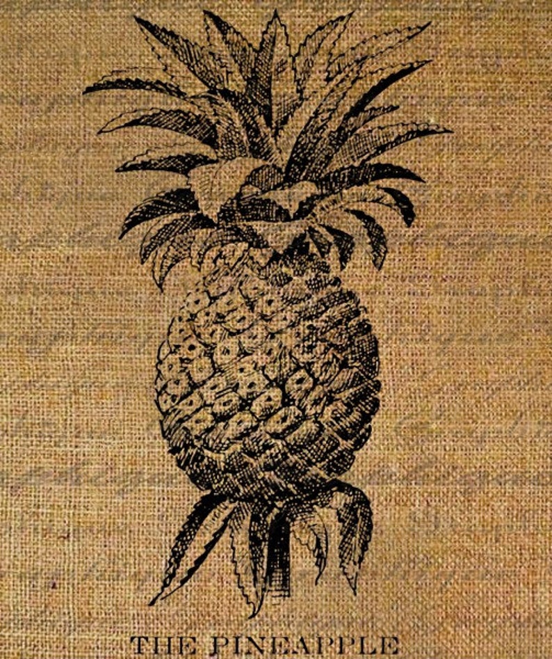 The Pineapple Fruit Words Tropical Digital Image Download Etsy