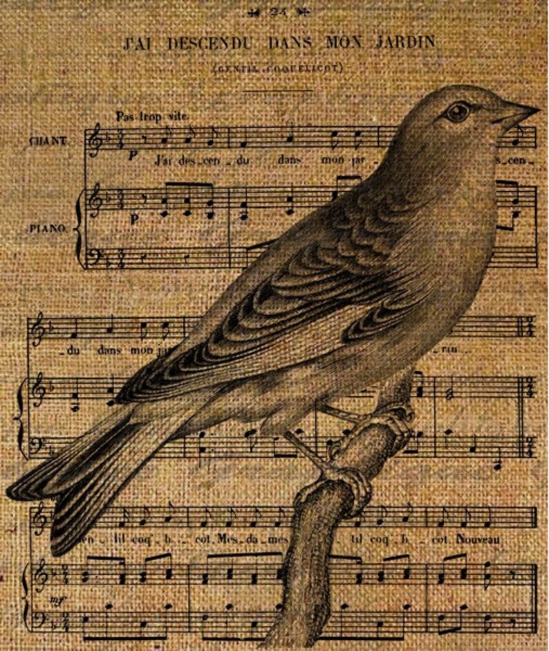 French Music Garden Bird Birds Song Digital Image Download Etsy Mexico