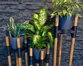 Plant stand PLANTAURA