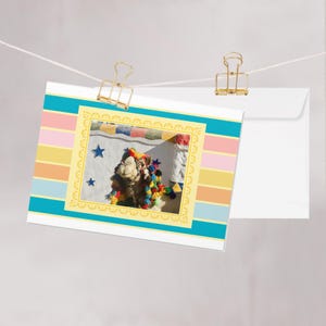 Happy Camel Greeting Card • Nubian Egypt Travel Photography • Gift for Animal Lovers