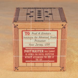 May include: A puzzle cube designed as a wooden crate with a shipping label addressed to Prof. A. Einstein in Princeton, New Jersey. The top features a black dot pattern and the text SCHRODINGER'S BOX. The label includes the warning: POST MASTER: THIS CANNOT BE OPENED FOR POSTAL INSPECTION WITHOUT DETERMINING THE FATE OF THE CAT.