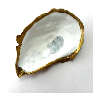 May include: An oyster shell with a white interior and a gold-colored rim. The shell has a natural, irregular shape and is set against a white background. The gold rim adds a touch of elegance to the natural form.
