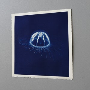 jelly fish cyanotype hand printed photo original art image 3