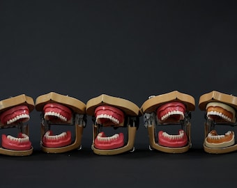 Aluminum Dental Study Jaws with Teeth Sets Dental Phantom