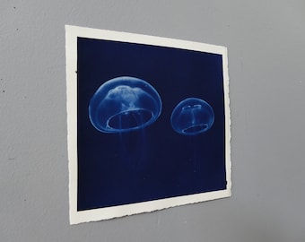 Jellyfish Cyanotype on watercolor paper original handmade printed artwork