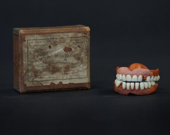 Early 1900's Dentures in Original Box Nottingham UK