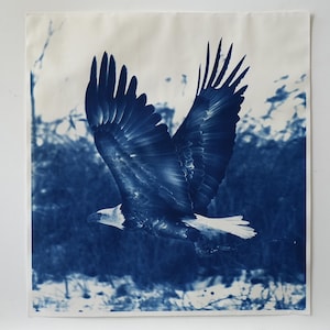 Puede incluir: Una impresión azul y blanca de un águila calva en vuelo. Las alas del águila están extendidas, mostrando patrones detallados de plumas. El fondo presenta un paisaje borroso, creando una sensación de movimiento y libertad. La obra de arte está sobre un fondo blanco.