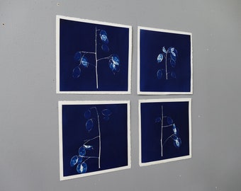 money plant cyanotype set of four original art hand printed plant study unique artwork signed