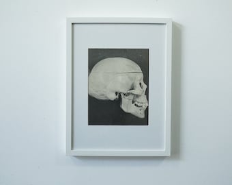 1940 Skull Photo on Heavy photo paper original photo Framed