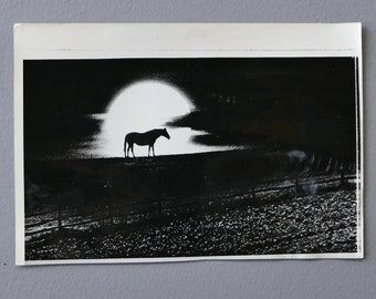 original photo horse and sunset 1973 press photo