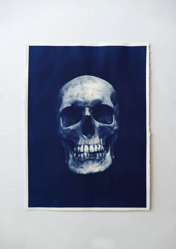 Large Lunar Cyanotype Survey A1