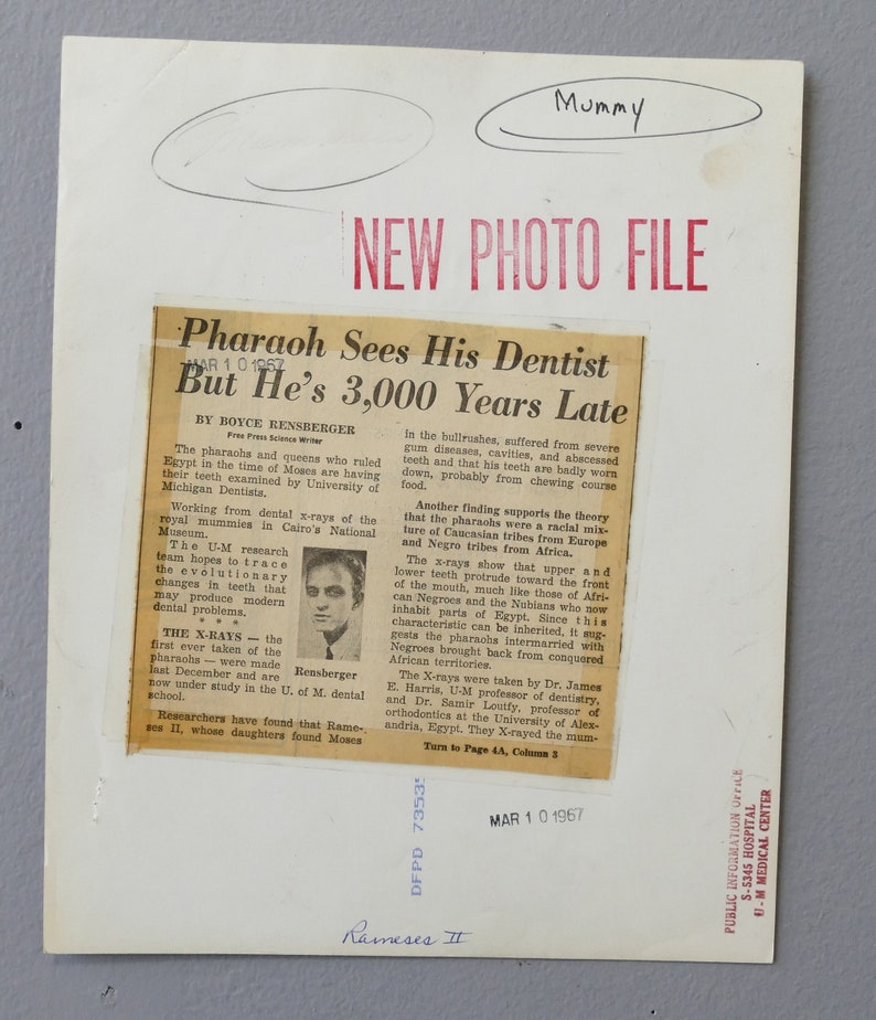 Ramses II Egyptian Mummy Original Press Photo Oddities Unique Strange Dental Xray Photo