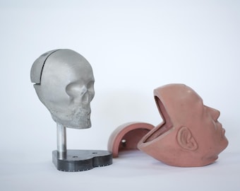 Unique Vintage Crash Test Manikin Head with Aluminum Skull on Technical Base