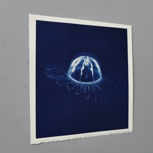 jelly fish cyanotype hand printed photo original art image 2