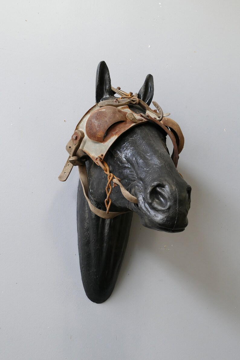 The Blind Leading The Blind Horse Head Blinder Mount antique Etsy