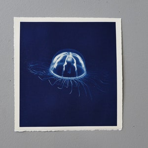 jelly fish cyanotype hand printed photo original art image 1