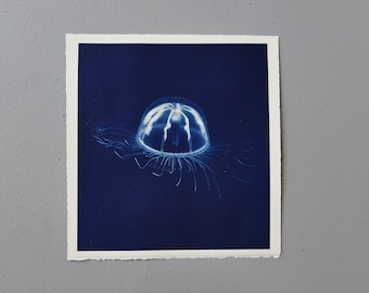 jelly fish cyanotype hand printed photo original art