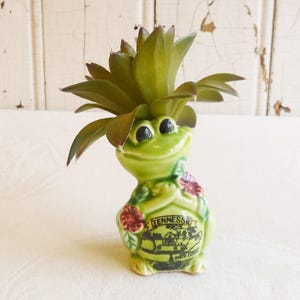 May include: A ceramic frog-shaped planter with a green glaze, holding a faux succulent. The planter has black eyes, red flower accents, and a Tennessee graphic. The succulent has green and brown leaves.