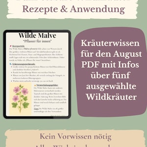 Wild Herbs in August PDF – Identify and use five edible summer herbs – Herbal knowledge with recipes for the kitchen and medicine cabinet