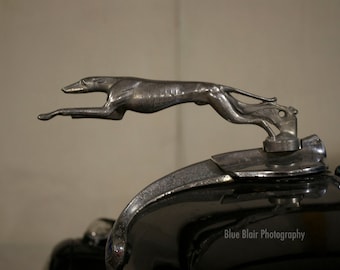 1934 Ford Model BB Greyhound Hood Ornament print