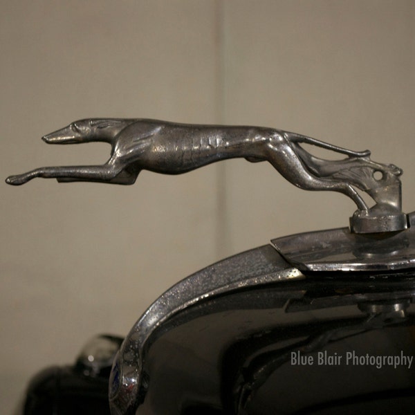 Hood Ornament - Etsy