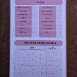 Op de afbeelding: Een roze en witte budgetplanner met het woord "Budget" bovenaan. De planner heeft secties voor uitgaven en besparingen, met tekst in het Nederlands. De achtergrond heeft een patroon van kleine hartjes.
