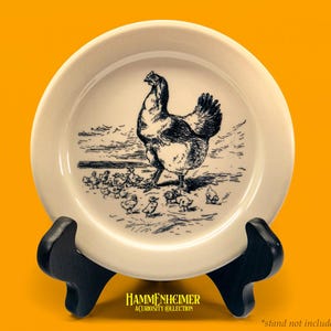 May include: A cream-colored decorative plate featuring a black and white illustration of a hen with chicks. The plate is displayed on a black stand against a yellow background. The text "HAMMENHEIMER A CURIOSITY COLLECTION" is at the bottom.