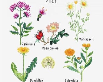 Può includere: Ricamo a punto croce di vari fiori, tra cui Valeriana, Rosa canina, Matricaria, Tarassaco e Calendula, con i loro nomi. Il disegno presenta uno sfondo bianco e il testo 'FIG.1'.