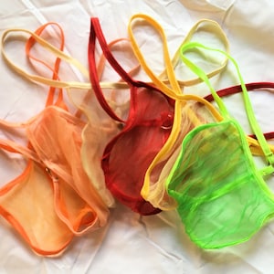 Puede incluir: Cinco pares de lencería transparente en varios colores, incluyendo naranja, amarillo, rojo y verde. La lencería está hecha de una tela delicada de malla y tiene tirantes ajustables.