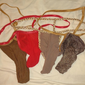 Puede incluir: Un conjunto de cuatro tangas con tiras finas. El set incluye una pieza de color marrón sólido, una roja sólida, una beige sólida y una pieza marrón texturizada, todas ellas con detalles de ribete con estampado de leopardo.