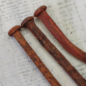 Op de afbeelding: Drie roestige metalen spijkers van verschillende lengtes en maten. De spijkers liggen op een wit oppervlak met gedrukte tekst.