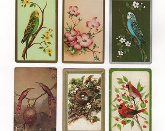 1 Single VINTAGE Swap//Playing Card BIRDS PARAKEET BUDGIES Brown on Black