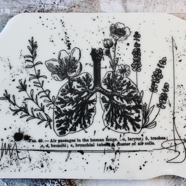 Mixed Media Cling Stamp Treasured Memories Prima 3 x 4.5 inch Lungs Flowers Anatomy Collage