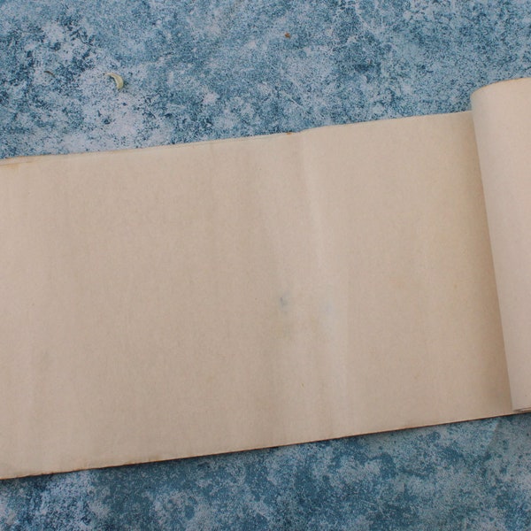10 pagine bianche di carta washi dal libro delle ricevute del registro contabile giapponese antico