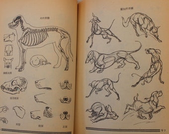 Chinese book instruction in drawing animals